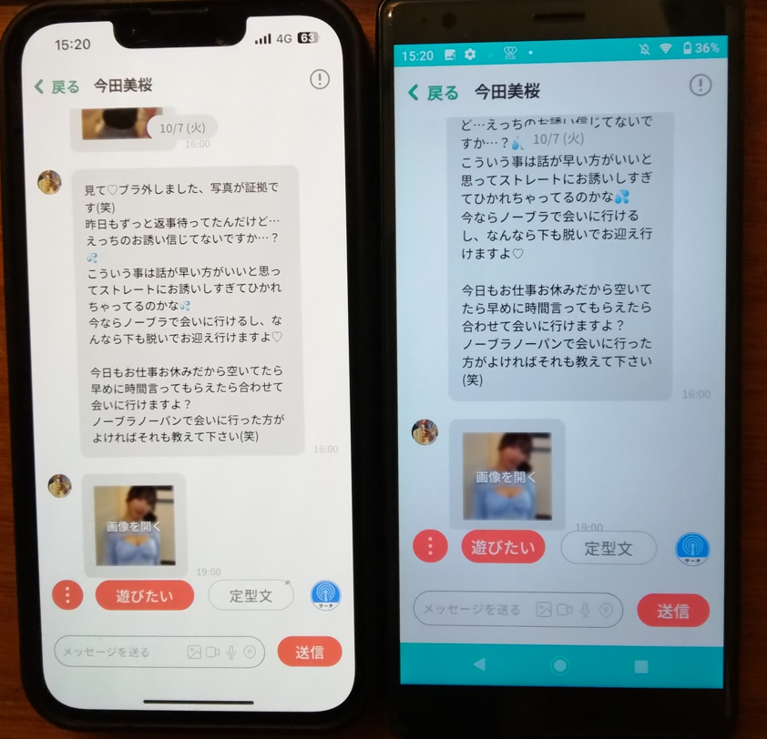 あんなことの詐欺の証拠