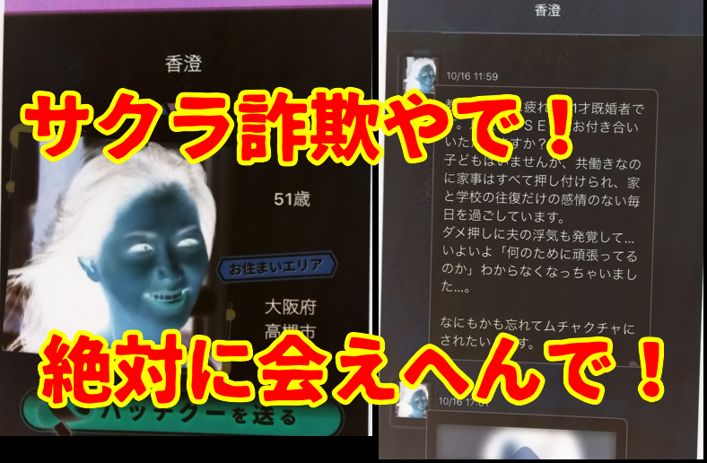 熟年広場のサクラ