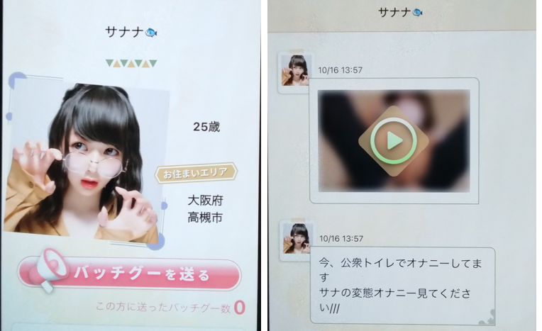 熟年広場のサクラ