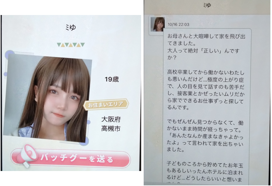 熟年広場のサクラ