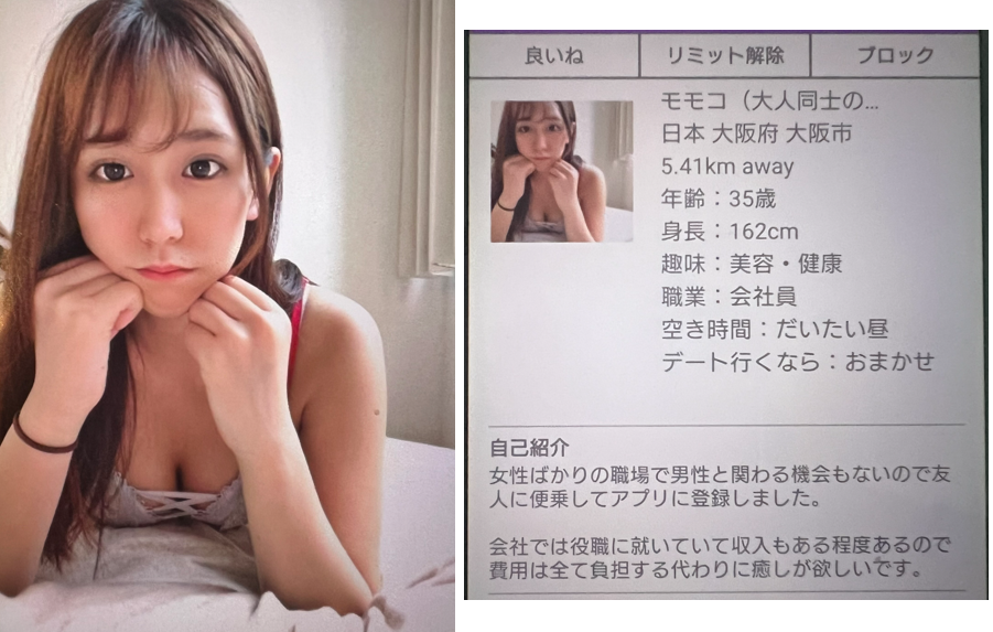 めぐりあいのサクラ