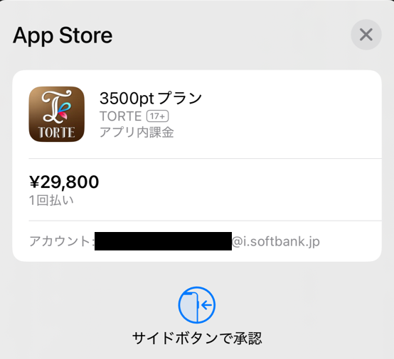 TORTEに課金